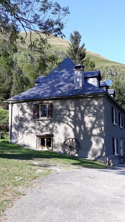 Apartment Habas Estaing Hautes Pyrenees Val D'azun Estaing (Hautes-Pyrenees)