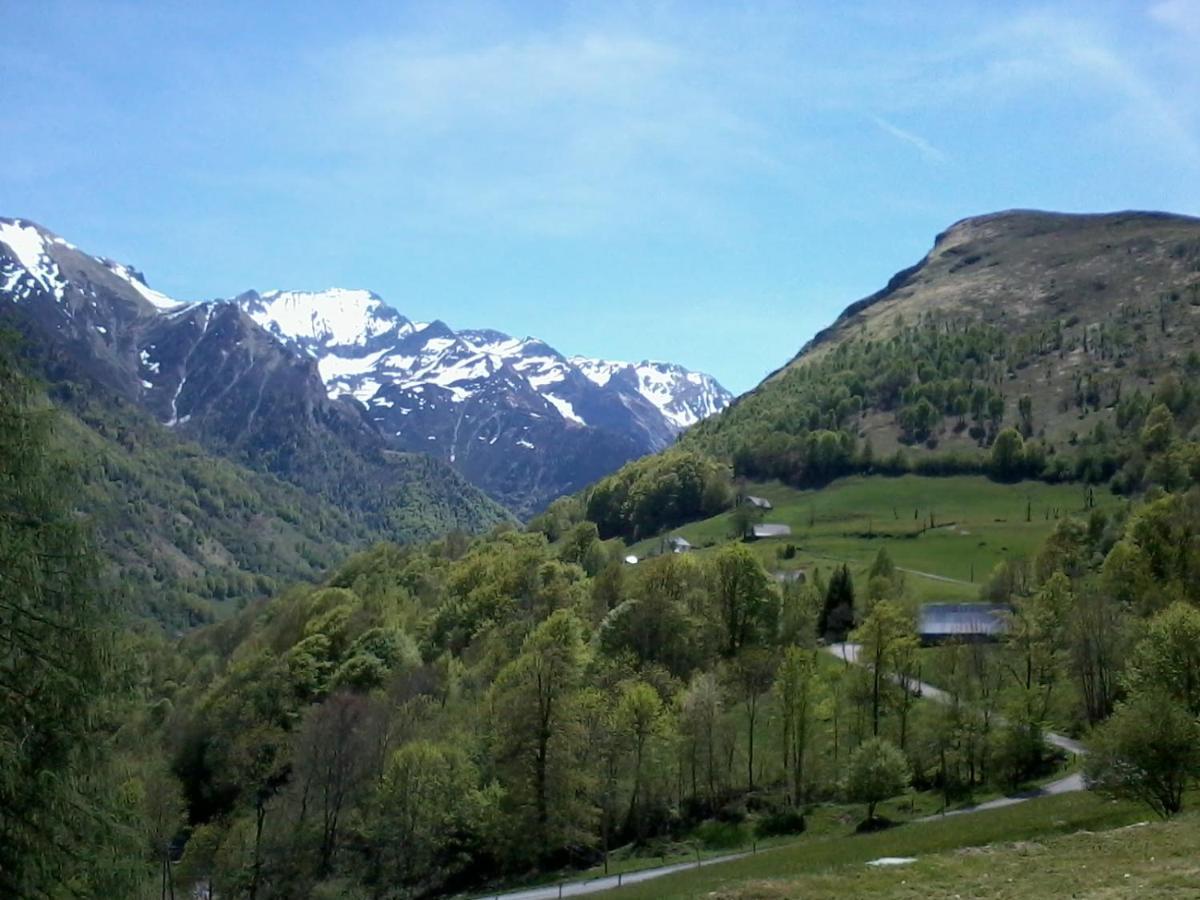 Apartment Habas Estaing Hautes Pyrenees Val D'azun Estaing (Hautes-Pyrenees)