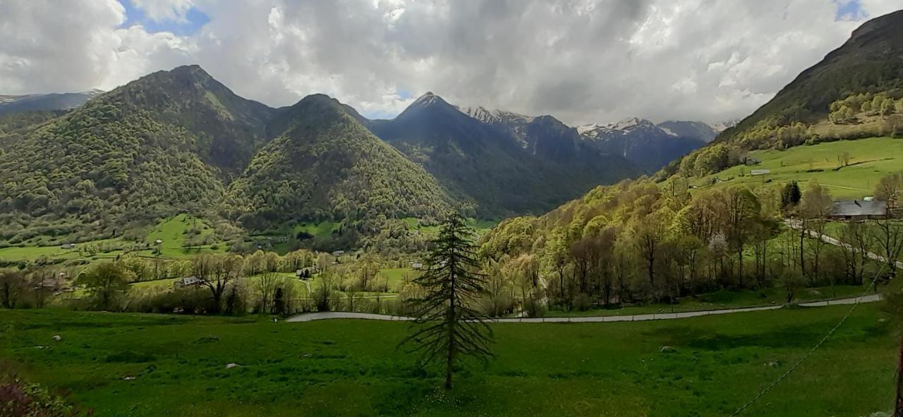Apartment Habas Estaing Hautes Pyrenees Val D'azun Estaing (Hautes-Pyrenees)