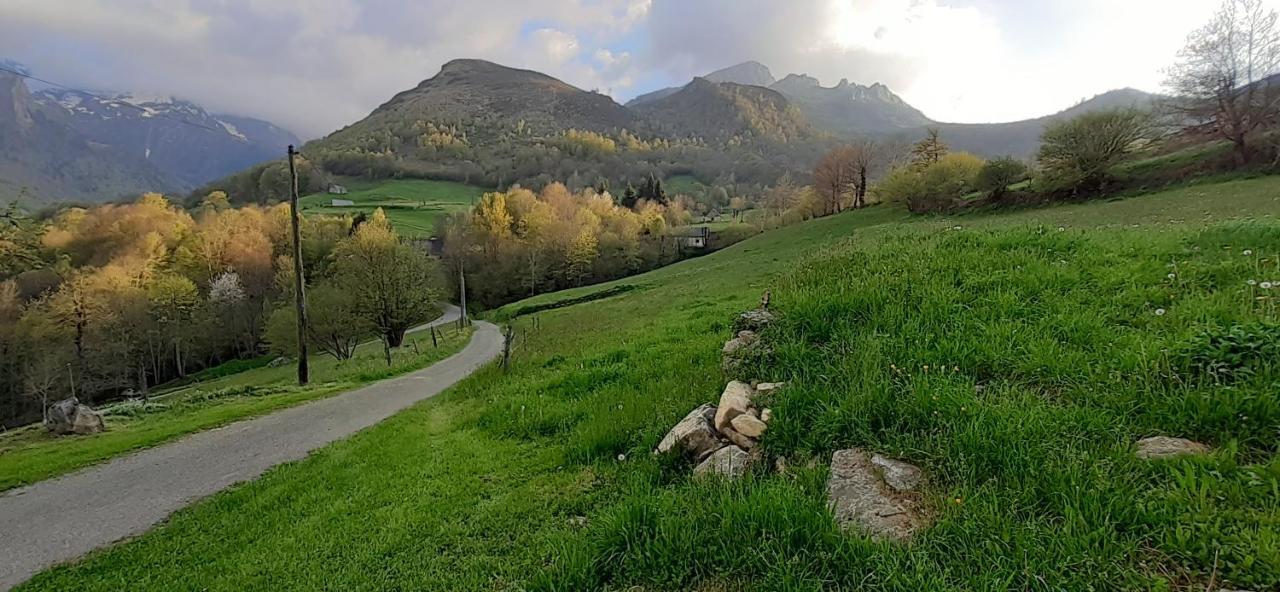 Habas Estaing Hautes Pyrenees Val D'azun Apartment